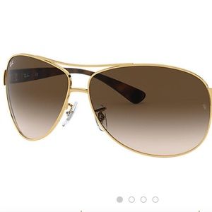 RayBan Aviators with tortoise arms